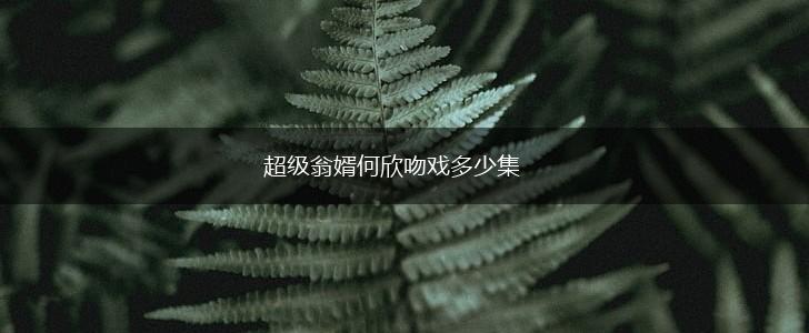 超级翁婿何欣吻戏多少集,第1张
