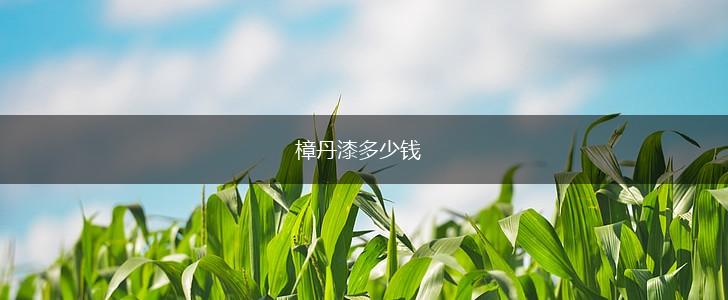 樟丹漆多少钱,第1张