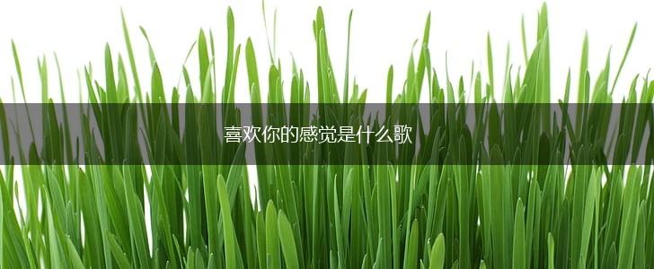 喜欢你的感觉是什么歌,第1张