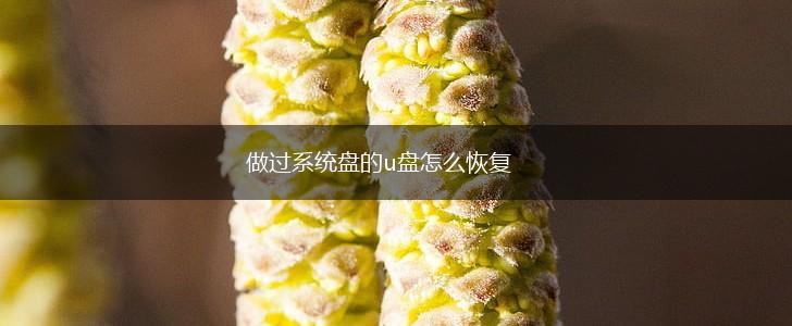 做过系统盘的u盘怎么恢复,第1张