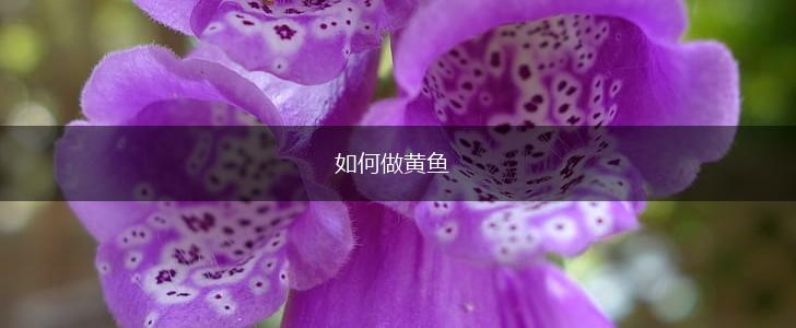 如何做黄鱼,第1张