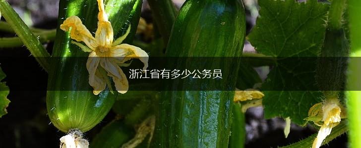 浙江省有多少公务员,第1张