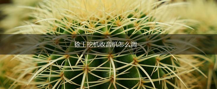 徐工挖机收音机怎么调,第1张