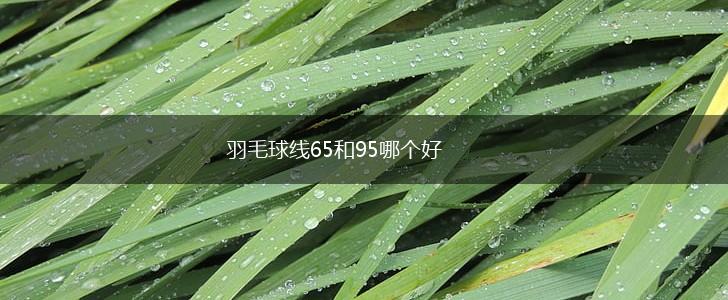 羽毛球线65和95哪个好,第1张