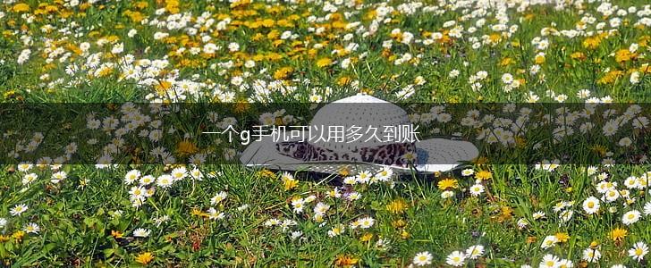 一个g手机可以用多久到账,第1张