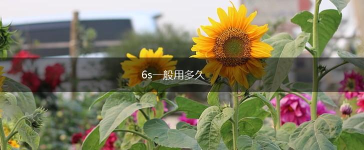 6s一般用多久,第1张