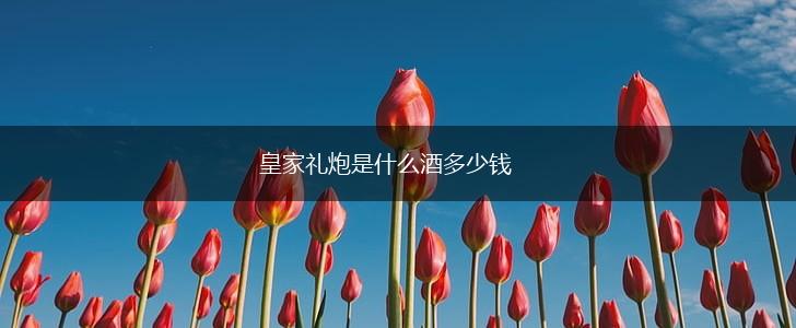 皇家礼炮是什么酒多少钱,第1张