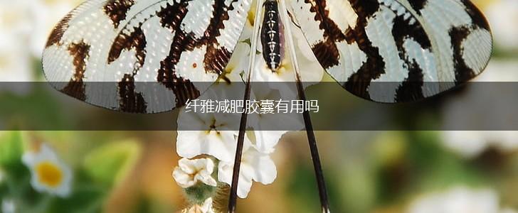 纤雅减肥胶囊有用吗,第1张