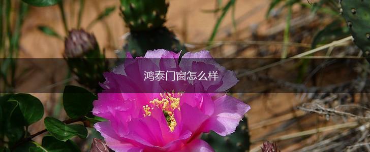 鸿泰门窗怎么样,第1张