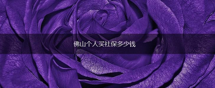 佛山个人买社保多少钱,第1张