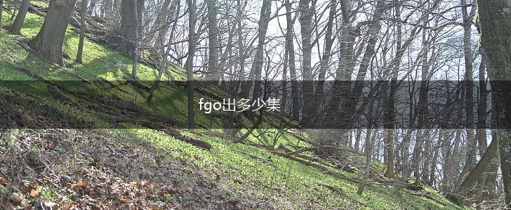 fgo出多少集,第1张