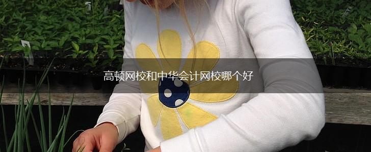 高顿网校和中华会计网校哪个好,第1张