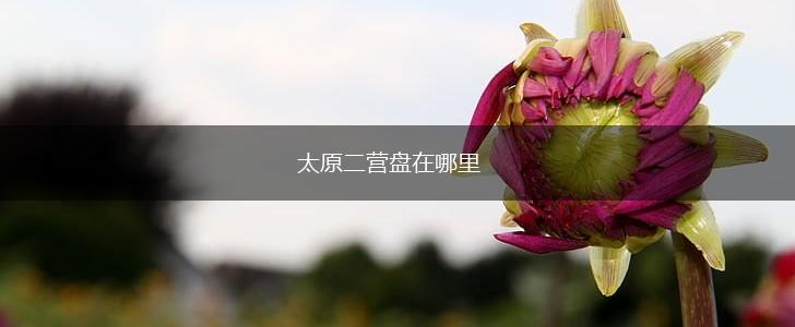 太原二营盘在哪里,第1张