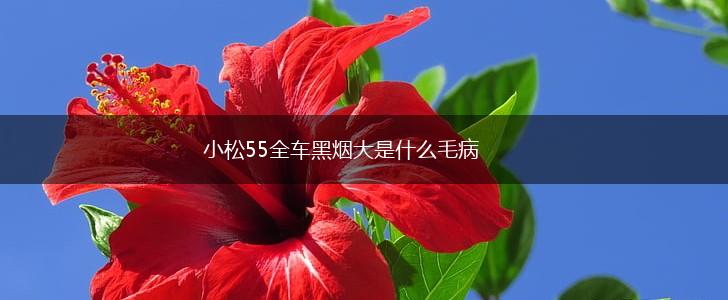 小松55全车黑烟大是什么毛病,第1张
