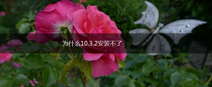 为什么10.3.2安装不了,第1张