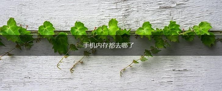 手机内存都去哪了,第1张