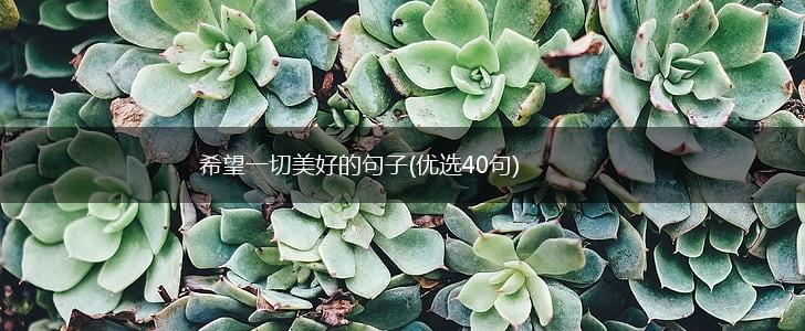 希望一切美好的句子(优选40句),第1张
