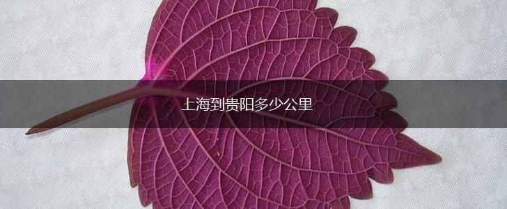上海到贵阳多少公里,第1张