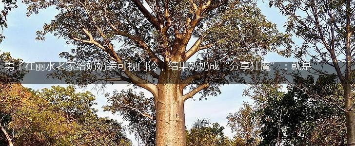 男子在丽水老家给奶奶装可视门铃，结果奶奶成“分享狂魔”：就是想儿孙,第1张