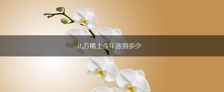北方稀土今年涨到多少,第1张