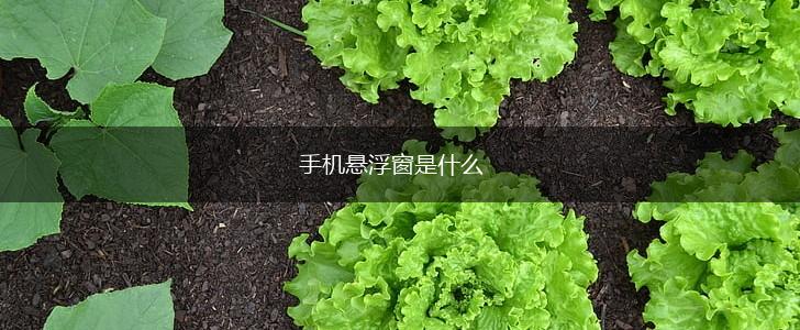 手机悬浮窗是什么,第1张