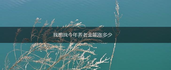 我想找今年养老金能涨多少,第1张