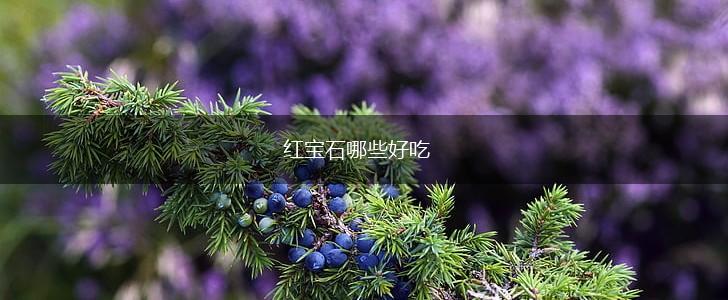 红宝石哪些好吃,第1张