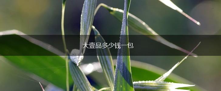 大壹品多少钱一包,第1张