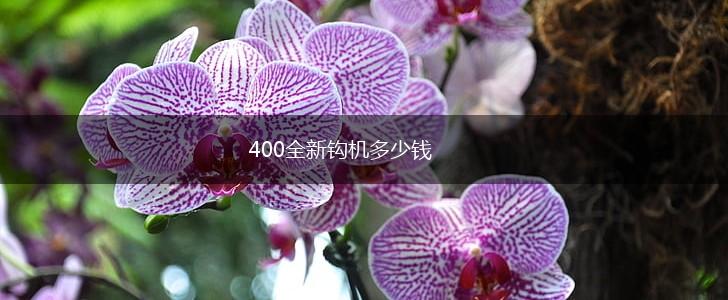 400全新钩机多少钱,第1张