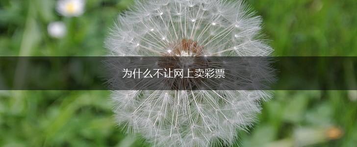 为什么不让网上卖彩票,第1张