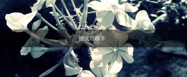婚戒带哪手,第1张