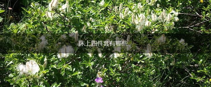 床上四件套有哪些,第1张