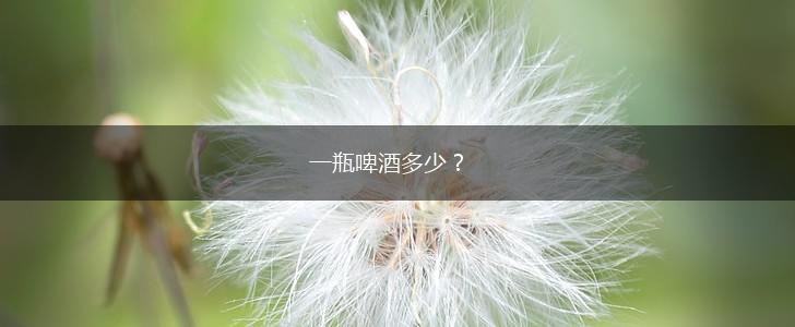 一瓶啤酒多少？,第1张