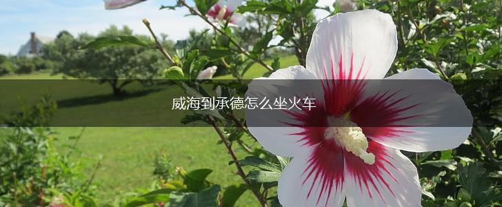 威海到承德怎么坐火车,第1张