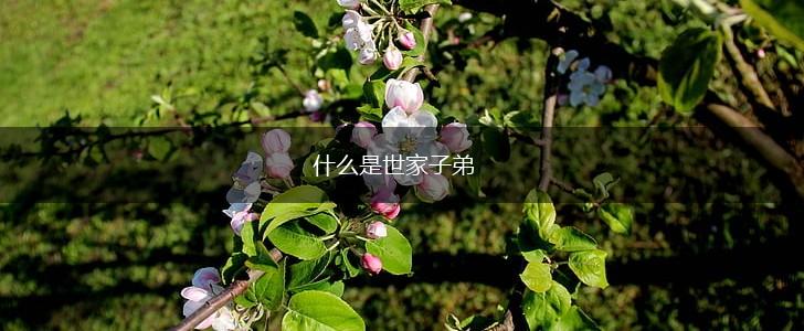 什么是世家子弟,第1张