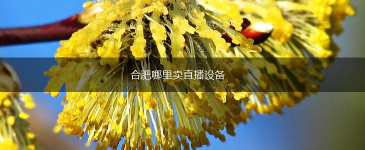 合肥哪里卖直播设备,第1张