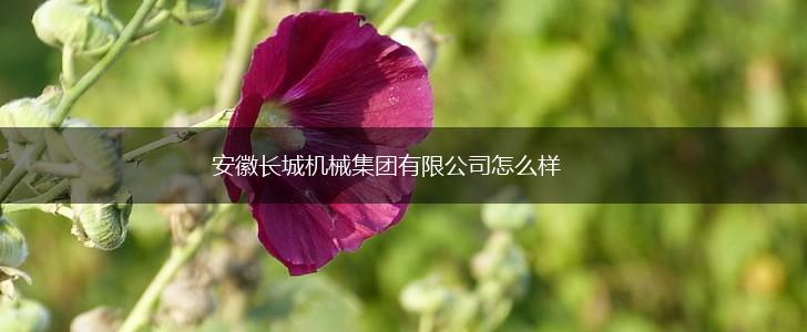 安徽长城机械集团有限公司怎么样,第1张
