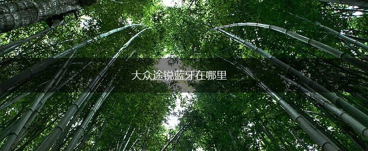 大众途锐蓝牙在哪里,第1张