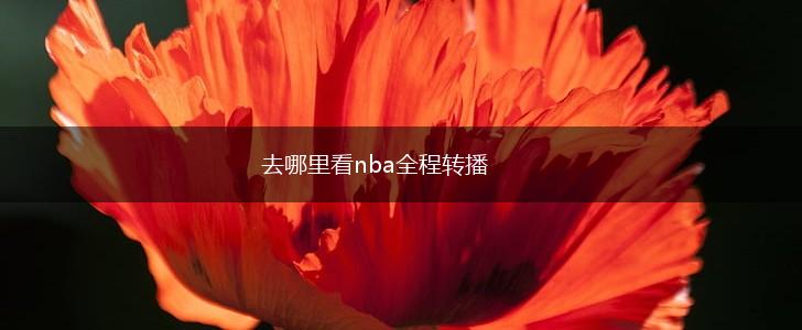 去哪里看nba全程转播,第1张