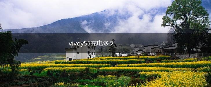 vivoy55充电多久,第1张