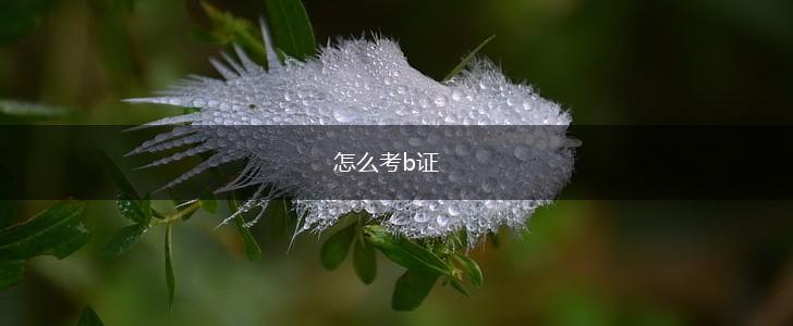怎么考b证,第1张