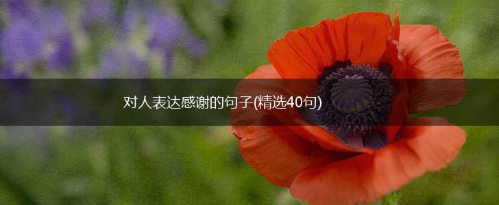 对人表达感谢的句子(精选40句),第1张