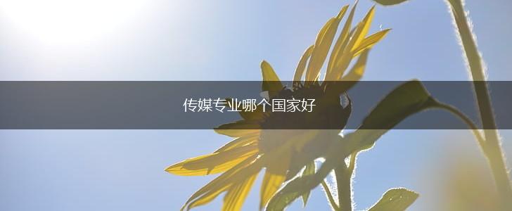 传媒专业哪个国家好,第1张