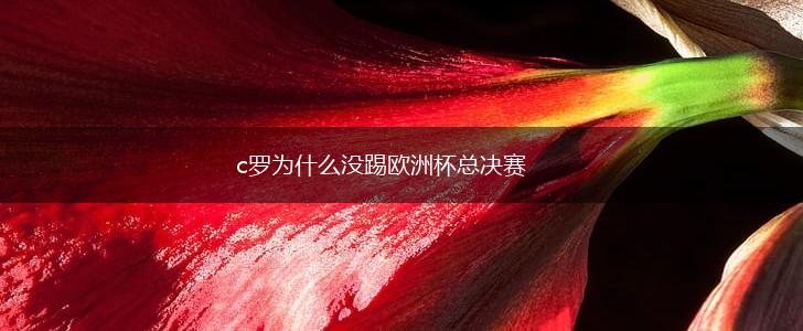 c罗为什么没踢欧洲杯总决赛,第1张