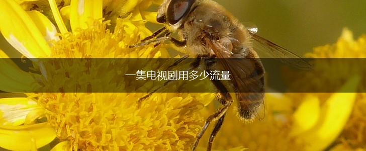 一集电视剧用多少流量,第1张