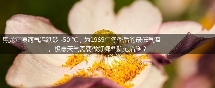 黑龙江漠河气温跌破 -50 ℃，为1969年冬季后的最低气温， 极寒天气需要做好哪些防范措施？,第1张