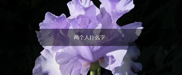 两个人什么字,第1张