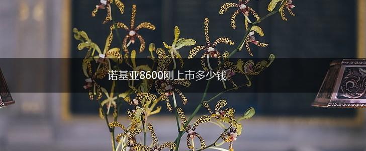 诺基亚8600刚上市多少钱,第1张