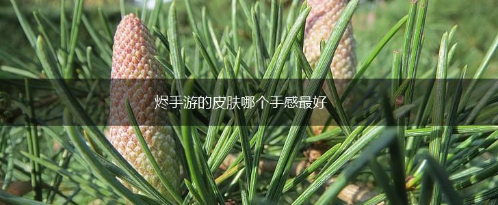 烬手游的皮肤哪个手感最好,第1张