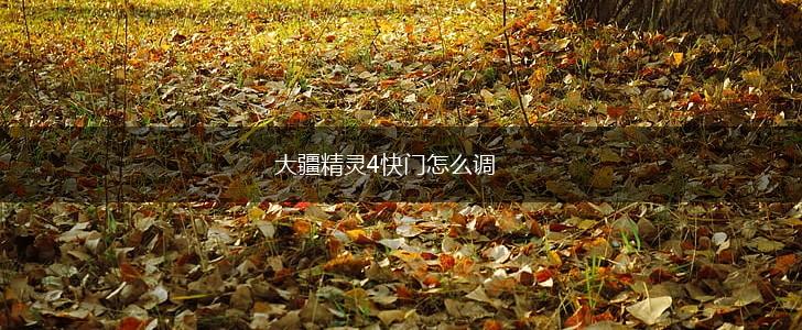 大疆精灵4快门怎么调,第1张